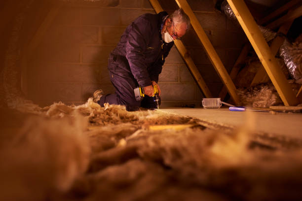 Best Cellulose Insulation in Riverdale, UT