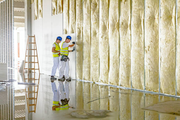 Best Residential Insulation in Riverdale, UT